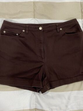 Ann Taylor LOFT Chocolate Brown Stretch Shorts